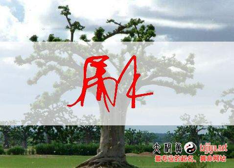 五行八字属木 属火 属土 属金 属水起名常用字大全