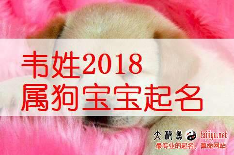 韦姓女宝宝起名大全2018狗年好听的韦姓男宝宝名字大全