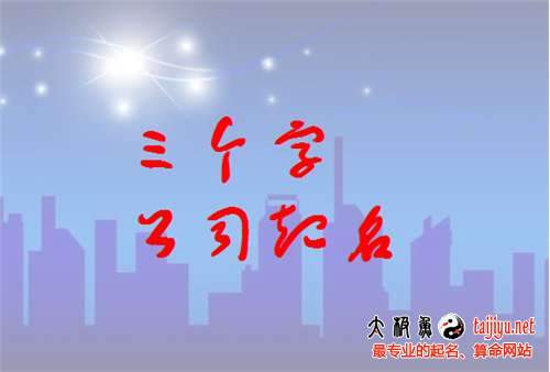 三个字的公司名字大全