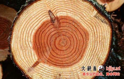 2019猪年五行属木(五行缺木)的属猪宝宝起名大全