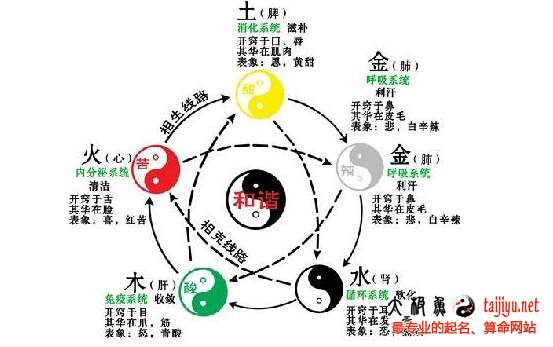 三才五行和八字五行有什么关系? - 太极鱼