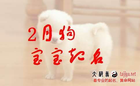 狗年2月/二月出生宝宝起名取名2018