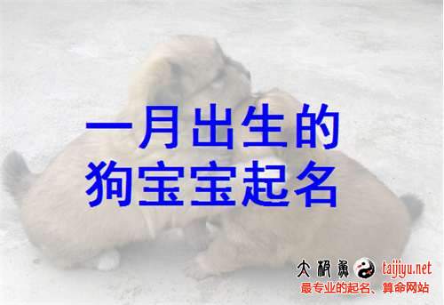 一月出生属狗宝宝起名取名2018