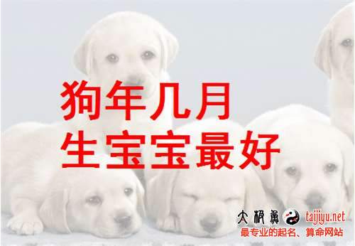 2018狗年几月生宝宝最好,狗年生宝宝好吗