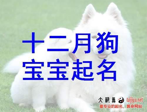 十二月出生宝宝起名取名2018狗年
