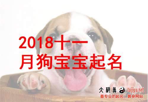 2018狗年11月/十一月出生宝宝起名取名
