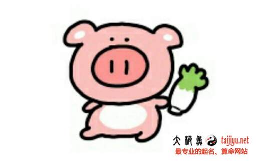 适合猪宝宝的好听名字大全