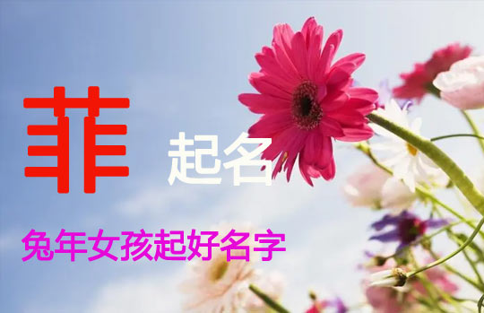 兔年女孩起名带“菲”的名字大全