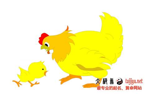 鸡宝宝起名取名常用字笔画大全