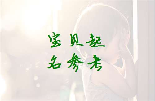 熊姓宝宝起名大全