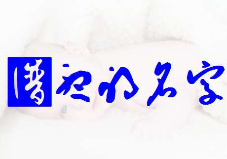 宝宝起名大全