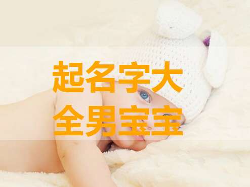 石姓宝宝起名大全
