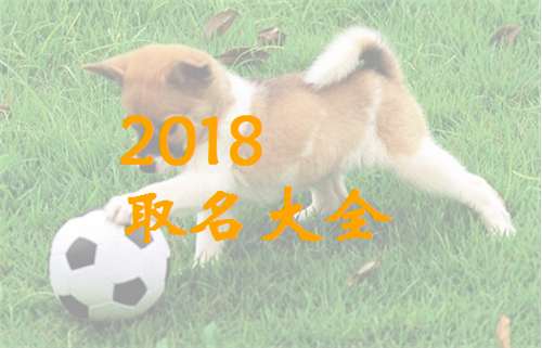 2018年狗宝宝的起名字大全,戴姓男宝宝