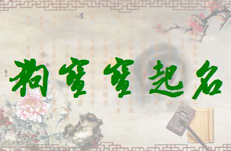 金姓宝宝起名大全