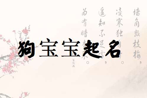 狗宝宝起名大全
