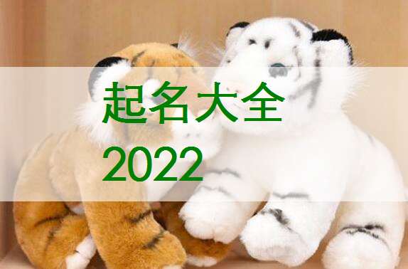 属虎姓薛宝宝起名大全
