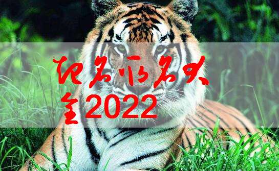 2022属虎宝宝起名大全