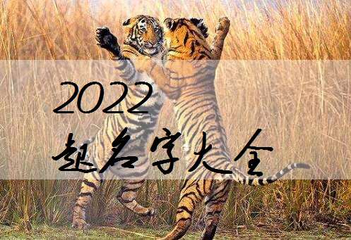 2022虎年7月出生虎宝宝起名网帮取名