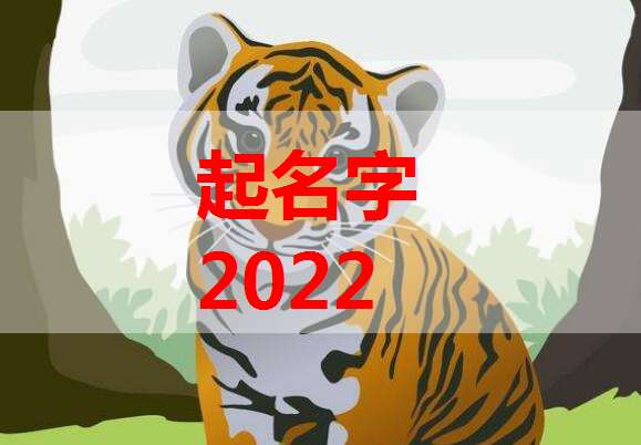 2022年虎宝宝的起名字大全柴姓男孩子