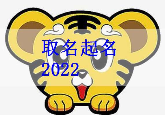 2022虎年出生姓赵宝宝起个什么名字好 - 太极鱼起名测试网