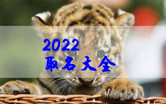 2022年出生虎宝宝起名名字大全