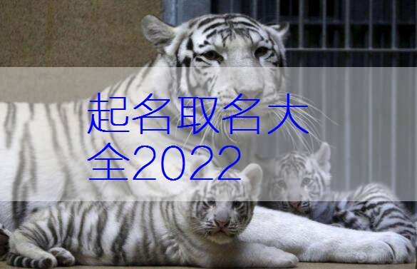 属虎朱姓宝宝起名大全