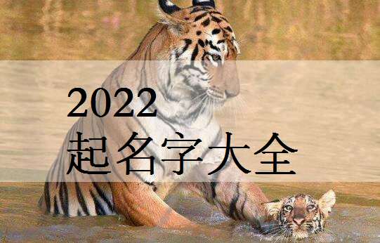 属虎宝宝起名大全