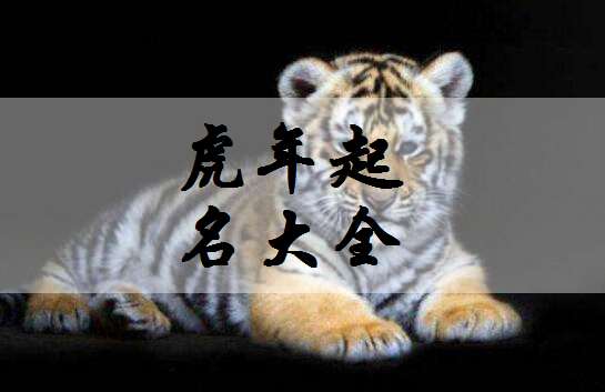 属虎姓曾宝宝起名大全