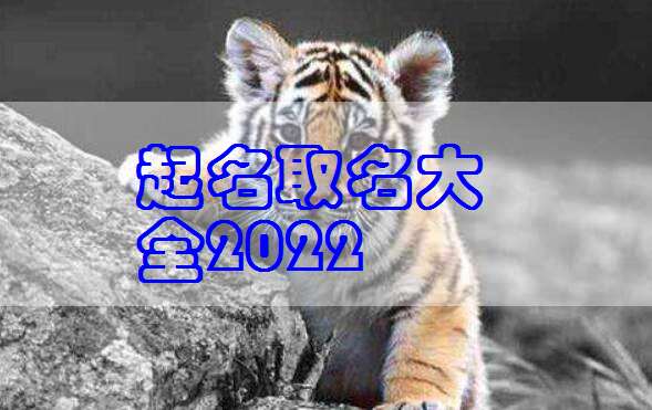 2022虎年小清新好听的姓汪男宝宝起名