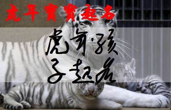 属虎郝姓宝宝起名大全