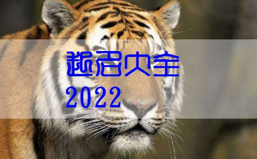 属虎姓叶宝宝起名大全