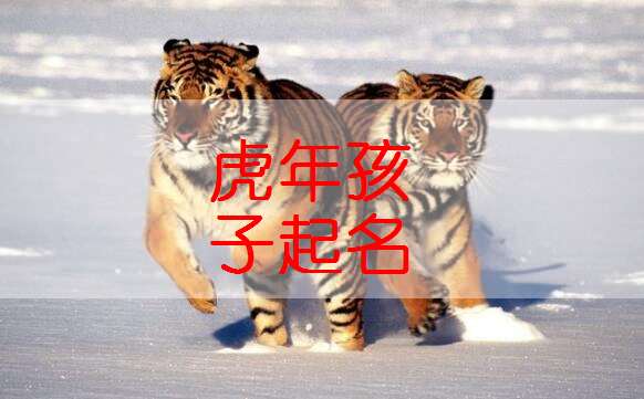属虎秦姓宝宝起名大全