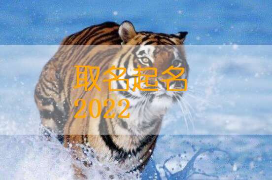 属虎姓熊宝宝起名大全