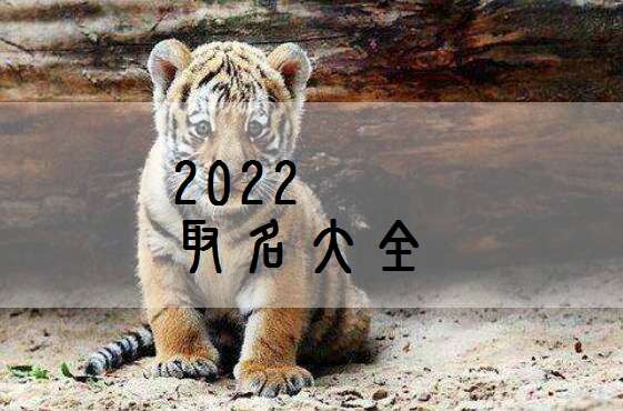 方姓虎宝宝吉祥名字推荐,姓方好名字大全