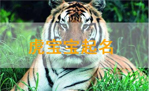 属虎姓孙宝宝起名大全