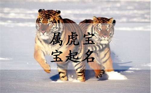 属虎温姓宝宝起名大全