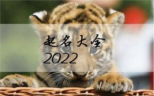 2022属虎宝宝起名女孩取名