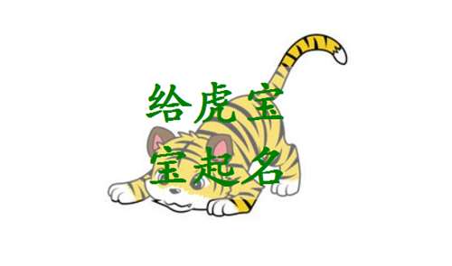 属虎姓金宝宝起名大全