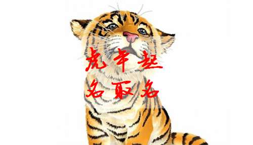 属虎钱姓宝宝起名大全