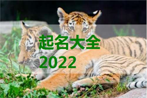 属虎宝宝起名大全