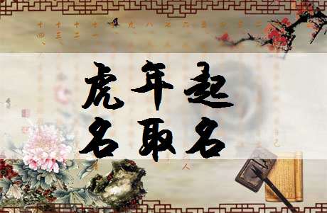 属虎姓傅宝宝起名大全