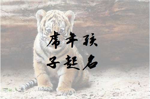属虎宝宝起名大全