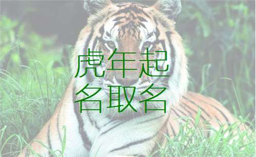 属虎宝宝起名大全