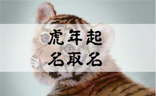 属虎姓程宝宝起名大全