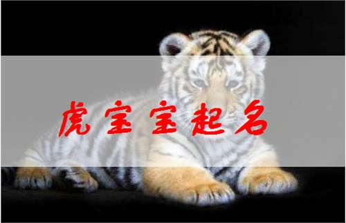 属虎姓侯宝宝起名大全
