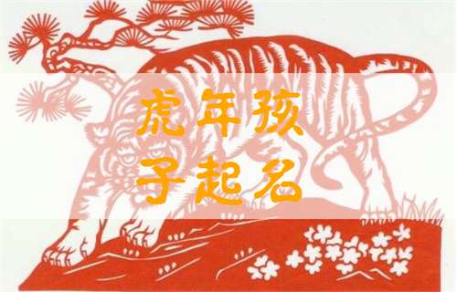 属虎姓文宝宝起名大全