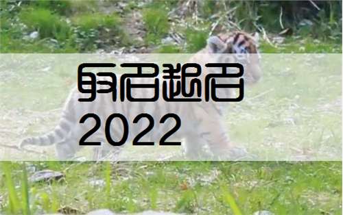 属虎庄姓宝宝起名大全