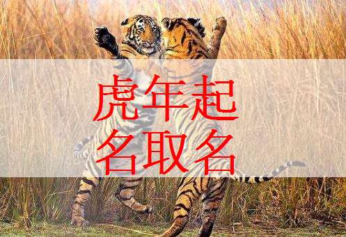 属虎石姓宝宝起名大全