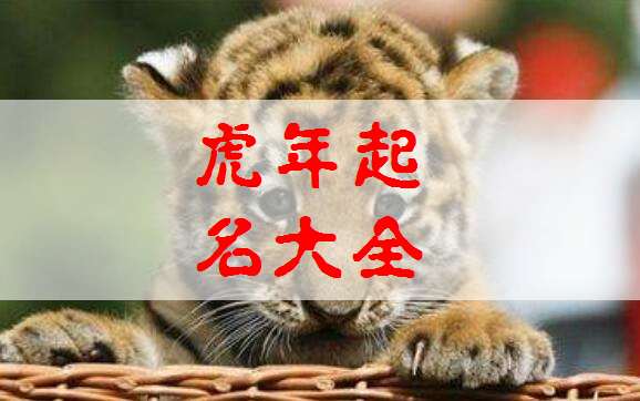 属虎姓易宝宝起名大全