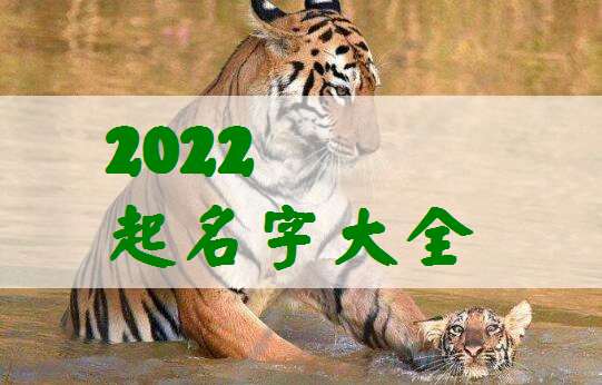 属虎姓钟宝宝起名大全